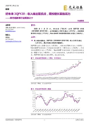 跨市场教育行业观察之十：好未来3QFY20：收入端出现拐点，网校增长面临压力
