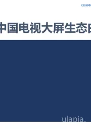 传媒：2020中国电视大屏生态白皮书