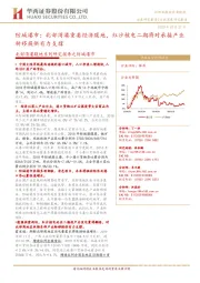 北部湾港腹地系列研究报告之防城港市:防城港市:北部湾港重要经济腹地,红沙核电二期将对承接产业转移提供有力支撑