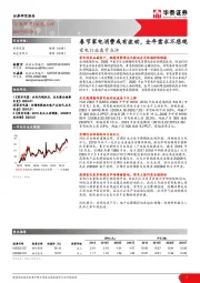 家电行业春节点评：春节家电消费或有波动，全年需求不悲观