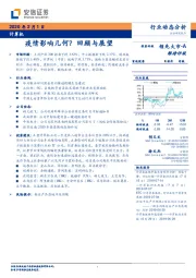 计算机行业动态分析：疫情影响几何？回顾与展望