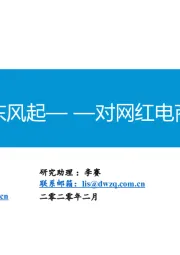 对网红电商的再讨论——扁舟一夜东风起