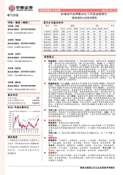 电气设备行业周报：新能源电力设备周观察-论电动汽车两极分化下开启全面替代