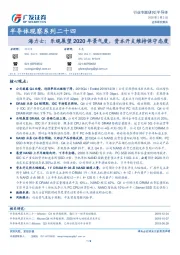 半导体观察系列二十四:海力士:乐观展望2020年景气度,资本开支维持保守态度