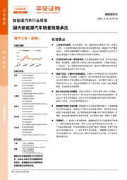 新能源汽车行业周报：国内新能源汽车销量短期承压