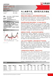 电动车行业动态点评：向上趋势不变，看好国内龙头崛起