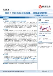 有色金属周报：欧洲1月电动车开始放量，继续看好钴锂