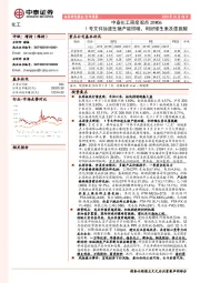 中泰化工周度观点20W06：1号文件加速生猪产能回暖，利好维生素及蛋氨酸