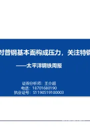 钢铁周报：短期疫情仍将对普钢基本面构成压力，关注特钢投资机会