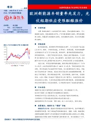 电气设备和新能源行业：欧洲新能源车销量率先发力，光伏短期供应受限酝酿涨价