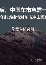 2020年肺炎疫情对车市冲击洞察报告：大疫情冲击后，中国车市急需一场休养生息