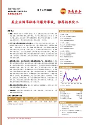农药行业动态点评:某企业烯草酮车间爆炸事故,推荐扬农化工