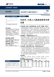 食品饮料产业链系列报告之一：宅经济：从线上大数据梳理食饮新消费