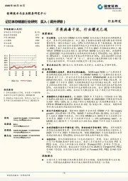 记忆体存储器行业研究：不畏病毒干扰，行业曙光已现