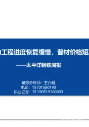 钢铁周报：疫情影响下的工程进度恢复缓慢，普材价格短期仍承压