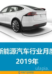 2019年中国新能源汽车行业月度报告