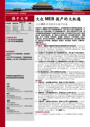 汽车行业深度：大众MEB系列报告之国产化篇-大众MEB国产的大机遇