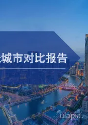 2020年中国新一线城市对比报告