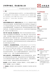 有色金属行业动态点评：多项事件触发，贵金属价格上涨