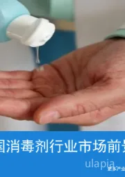 2020年中国消毒剂行业市场前景研究报告