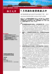 1月挖掘机销量数据点评：春节假期错位叠加疫情冲击致销量下滑，需求延后及政策刺激有助于拉长拉平景气周期
