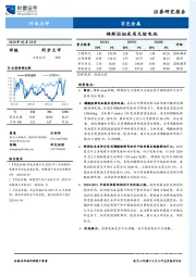 有色金属：特斯拉拟采用无钴电池