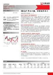 物联网系列报告（一）：NB-IoT率先引爆，供需端齐发力