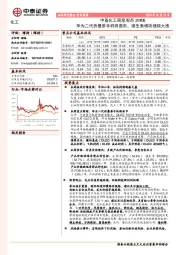 中泰化工周度观点20W08：华为二代折叠屏手机将面市，维生素板块继续大涨