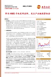 计算机行业周报：华为HMS手机发布在即，关注产业链投资机会