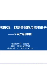 太平洋钢铁周报：虽远端预期乐观，但需警惕近月需求低于预期