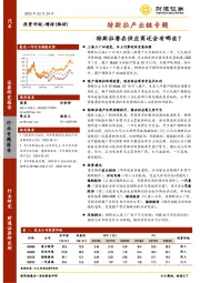 汽车：特斯拉产业链专题-特斯拉潜在供应商还会有哪些？