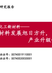 化工新材料：材料发展旭日方升，产业升级恰当其时