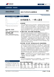 湿电子化学品行业梳理报告:当风轻借力,一举入高空