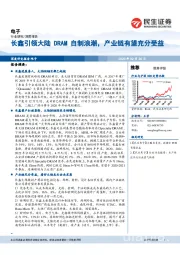 电子深度报告：长鑫引领大陆DRAM自制浪潮，产业链有望充分受益