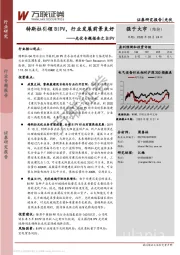 光伏专题报告之BIPV：特斯拉引领BIPV，行业发展前景良好