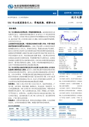 TIC行业深度报告之三：穿越周期，顺势而为