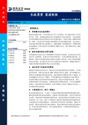 调味品行业专题报告：长坡厚雪 渠道制胜