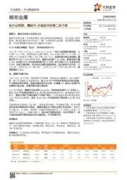钴行业深度:嘉能可-价格狙手的第二发子弹