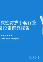 2020年中国一次性防护手套行业市场前景及投资研究报告