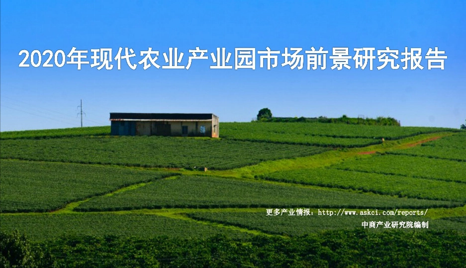 2020年现代农业产业园市场前景研究报告