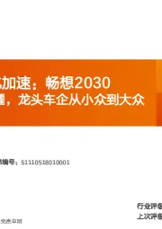 全球电动化加速:畅想2030 欧洲之星闪耀,龙头车企从小众到大众