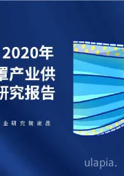 2020年中国口罩产业供需深度研究报告