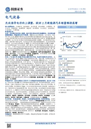 电气设备：光伏指导电价向上调整，欧洲2月新能源汽车销量维持高增