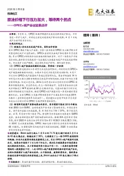 OPEC+减产会议结果点评:原油价格下行压力加大,等待两个拐点