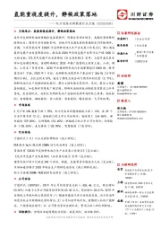 电力设备及新能源行业月报：能重视度提升，静候政策落地