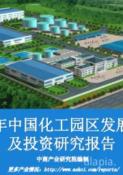 2020年中国化工园区发展前景及投资研究报告