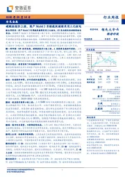 有色金属行业周报：碳酸锂报价上涨，国产Model 3长续航版继续采用三元锂电