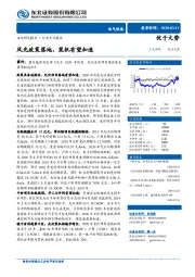 电气设备行业点评报告：风光政策落地，装机有望加速