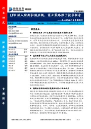 电力设备行业专题报告：LFP纳入特斯拉供应链，商业策略胜于技术取舍