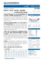 东北新能车锂电池材料行业深度报告：特斯拉的下一代电池：无钴未量产，低钴在眼前